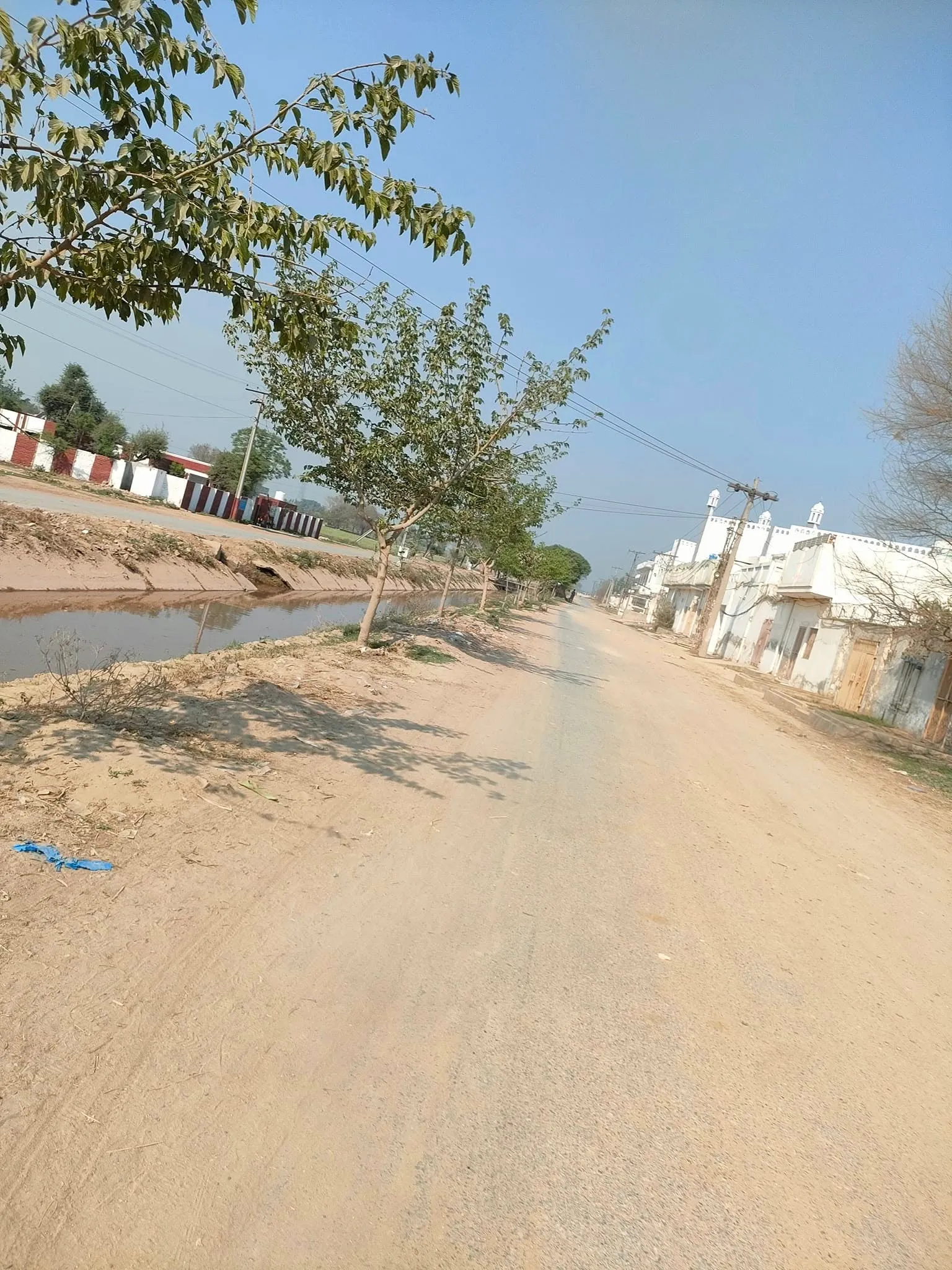 Green Seekers Activity